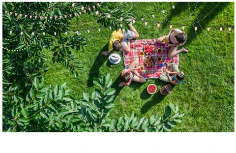 Picnic