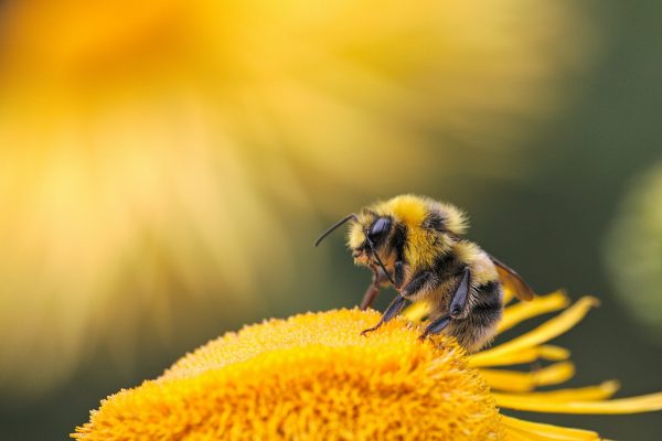 dmitry-grigoriev-yxXpjF-RrnA-unsplash (1)